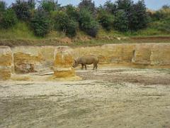 149 BIO PARC DE DOUE LA FONTAINE 4- 2016_000010